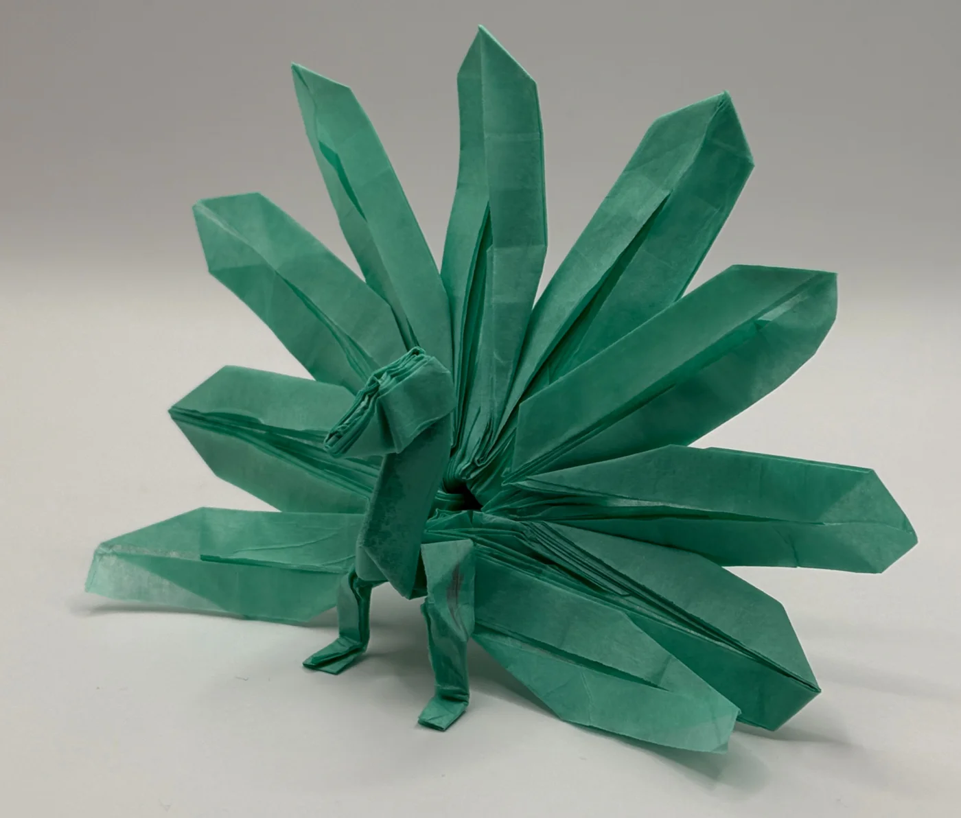 COrigami